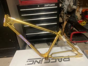 Race inc ra29 bike frame