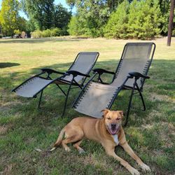 Lounger / Lawn Chairs
