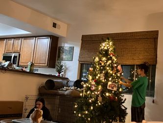Christmas Tree