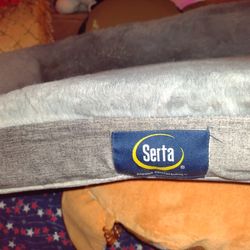 CAMITA. PARA MASCOTAS.   NUEVA