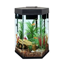 Fish Tank  20gal
