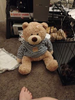 Big Stuffed Bear 