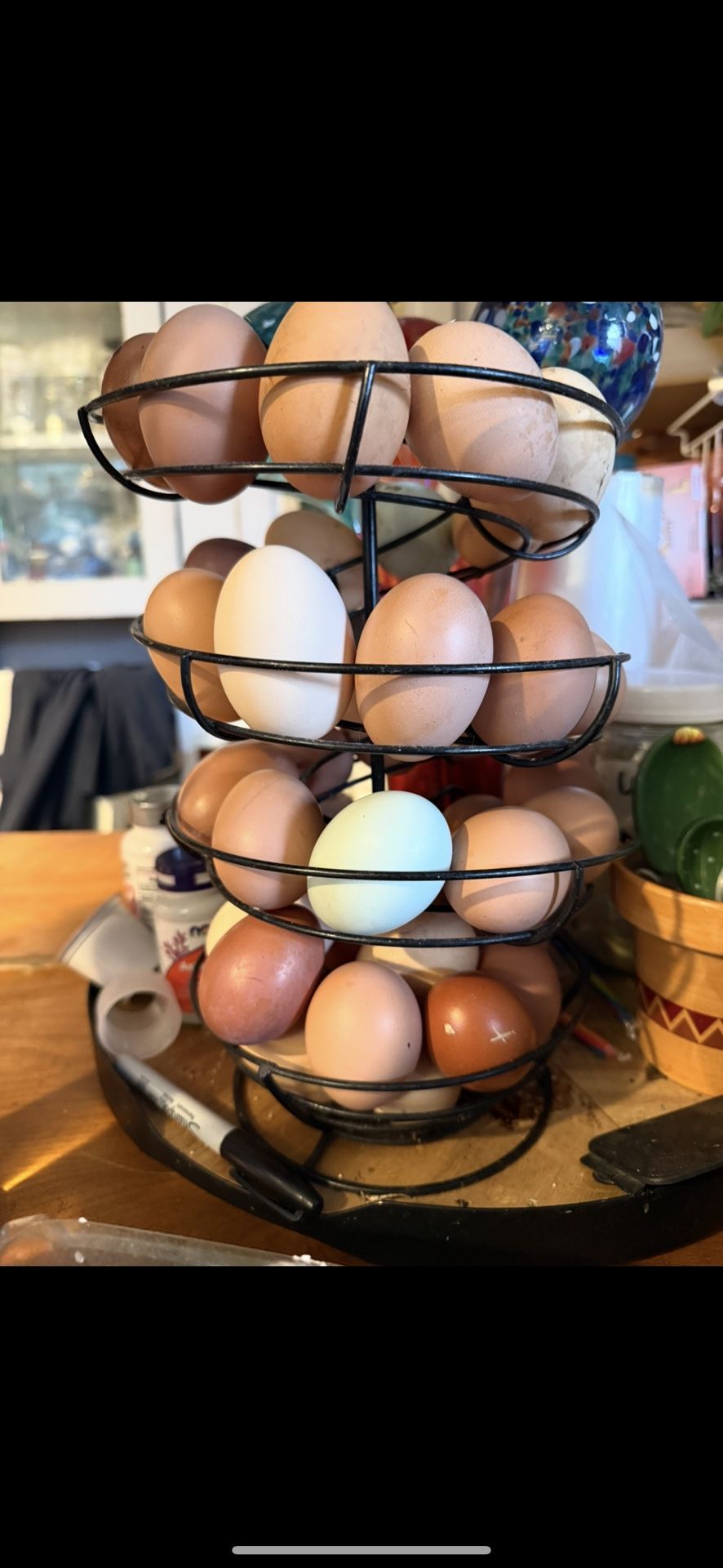 Fertilized Chicken Eggs