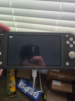 Nintendo switch light