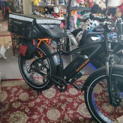 4th Of July sale Now ( $1300 OBO ) Under 400 Miles! –RadPower RadRover 5 E-Bike (2020) – Dual Battery, Accessories – 
