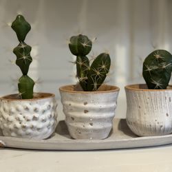 Handmade Unique Pottery Three Pot Set - White