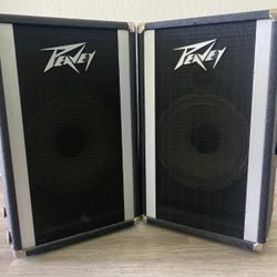 2 Peavey / Alpine 2 10” speakers & box -