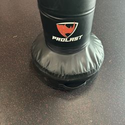 ProLast Boxing Bag