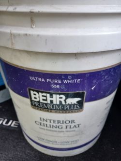 5 gallons ceiling white flat paint