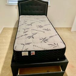 Twin Storage New Bed With Nice Mattress Included