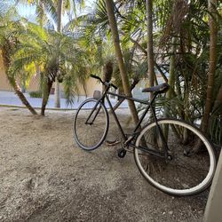 Fixed Gear Bike Read Disc