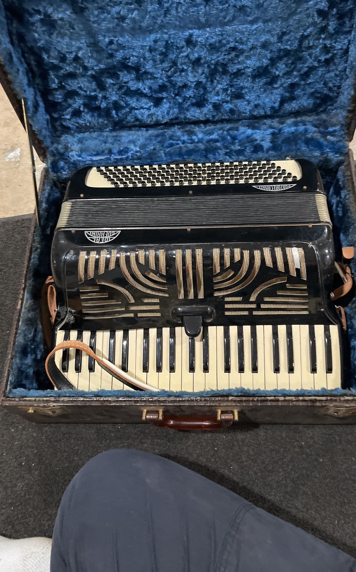 Accordian