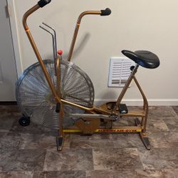 Schwinn Air-Dyne Bike