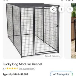 Lucky Dog Kennel 