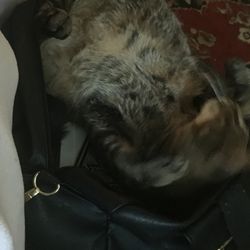A vintage box bag great condition