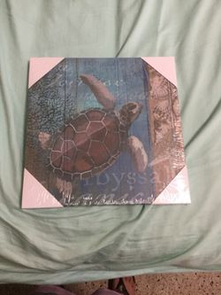Turtle frame