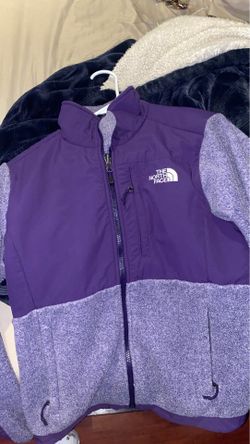 The north face jacket