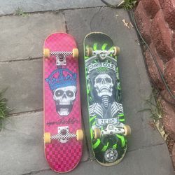 RYAN SHECKLER AND CHRIS COLE ZERO SKATEBOARDS 