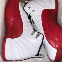 Jordan 12s 7youth