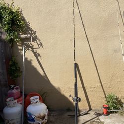 Fishing pole (with rod)