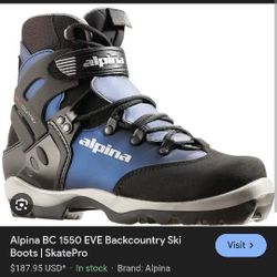 Alpina Cross Country Boots