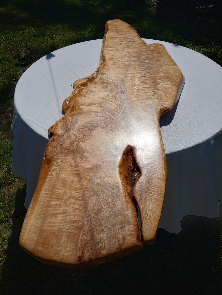 Curly Maple Whale Wall Hanging ! 69x22