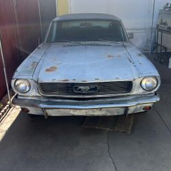 Mustang 1966 V8