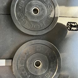 25 Lb Pair Rogue Bumper Plates 