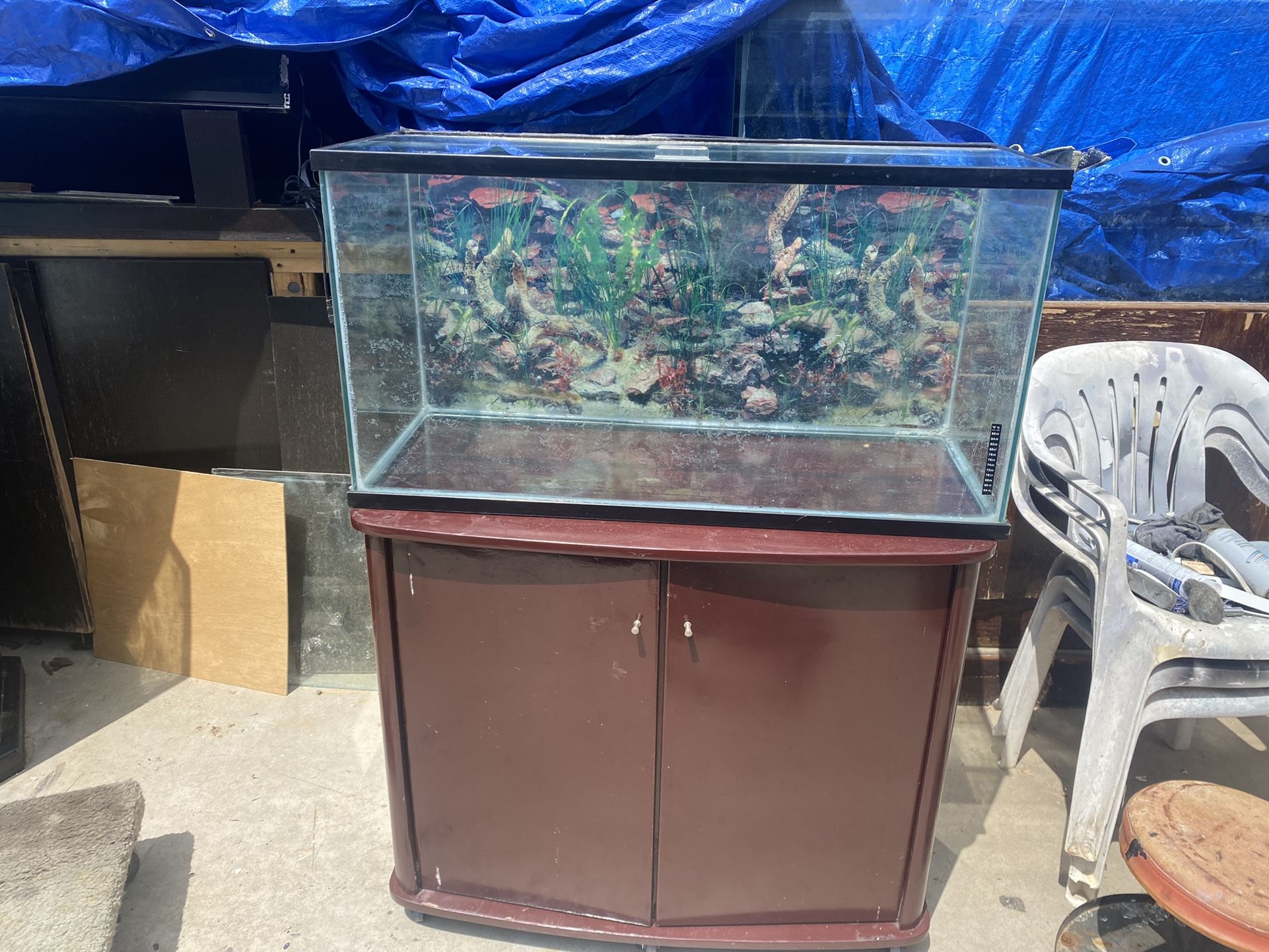 40 Gallon Fish Tank 