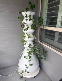 Lettuce Grow Hydroponic System with glow lights!