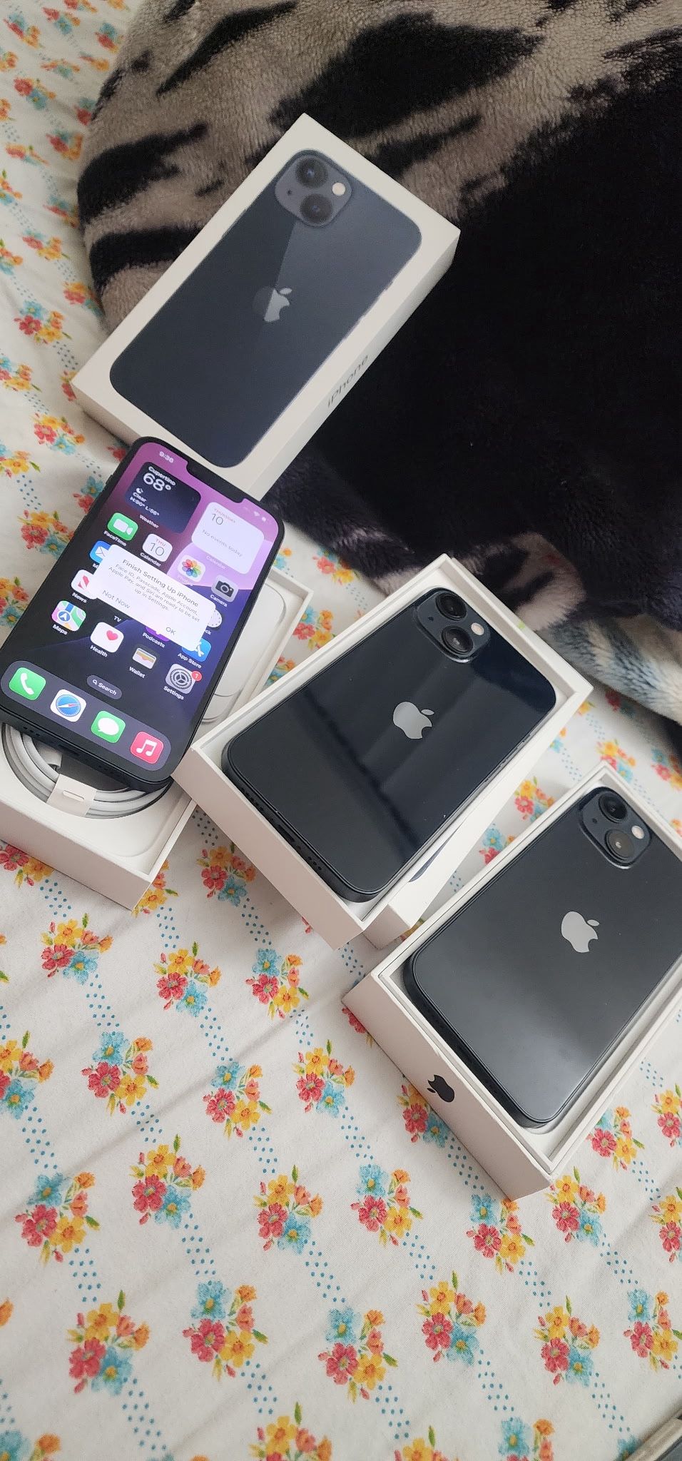 iPhone 13 cricket