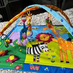 Tiny Love Play Gym