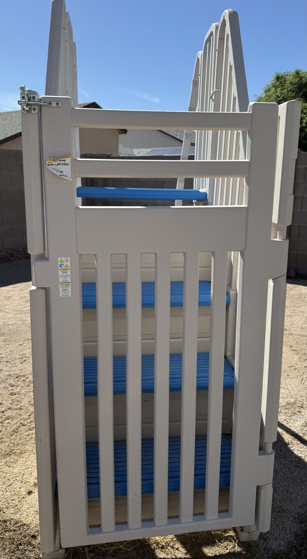 Pool Ladder With Latching Gate