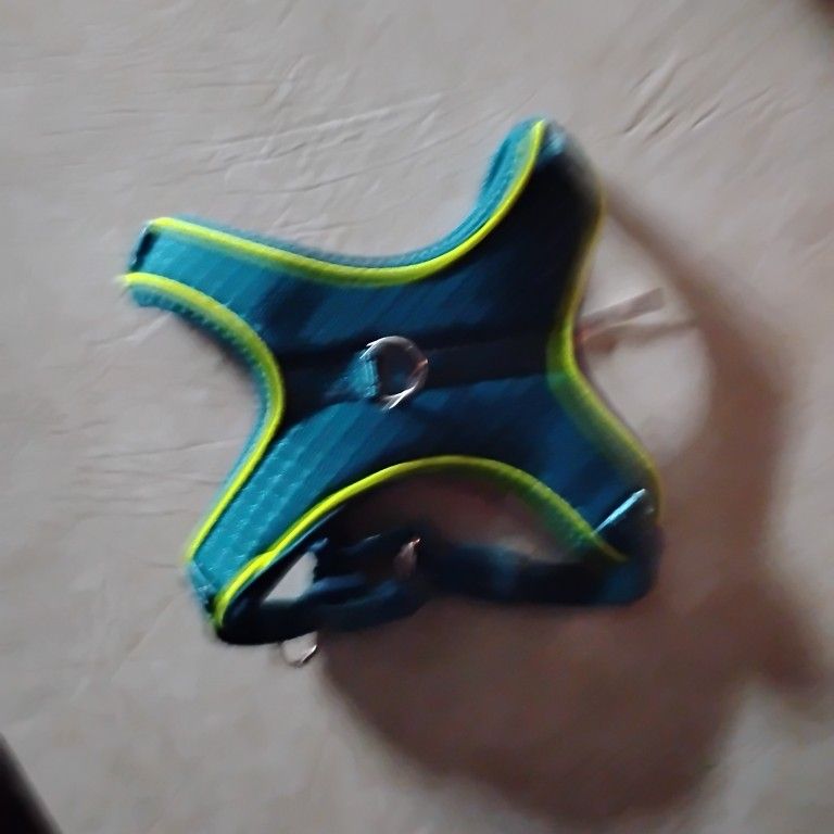 Dog/Cat Harness