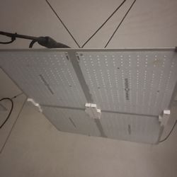 2 Spiderfarm Grow Lights 
