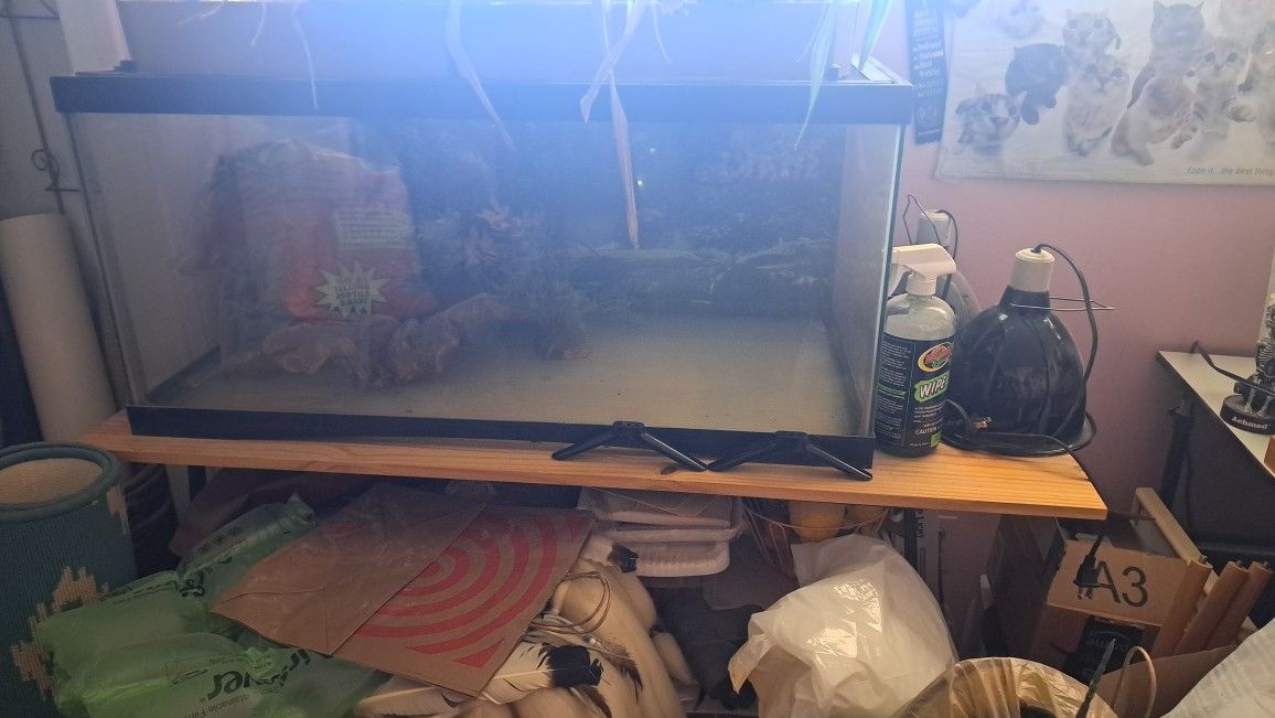Reptile/Plant Terrarium