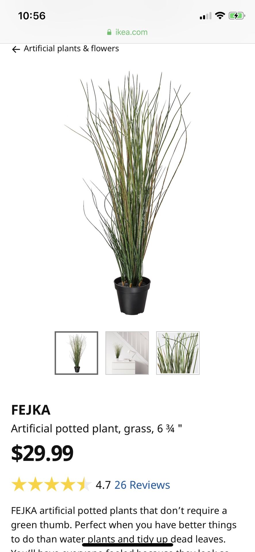 IKEA FEJKA Artificial potted plant, grass (2) for Sale in San Diego, CA OfferUp