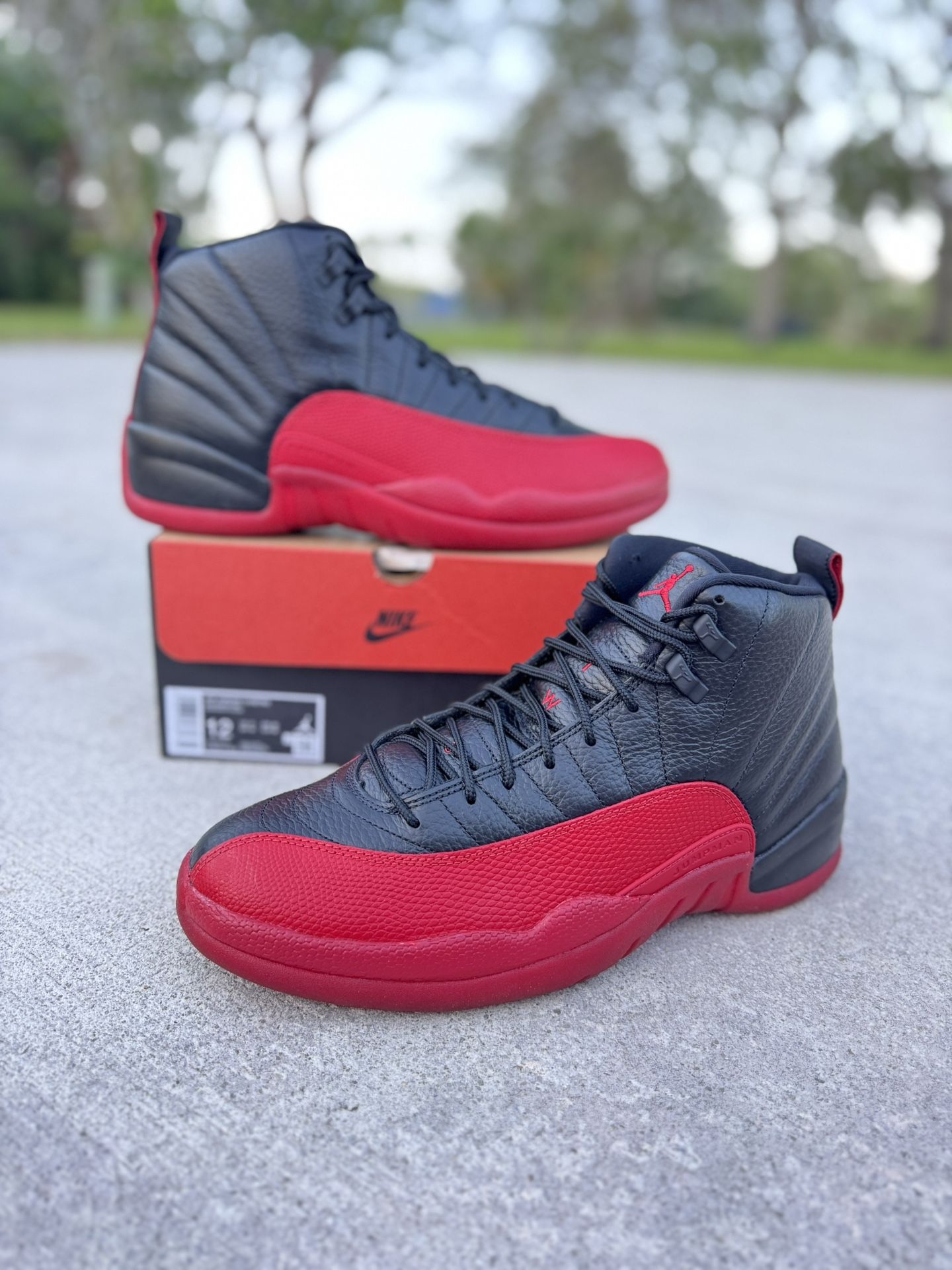 Air Jordan Retro 12 Flu Game Size 12 Men