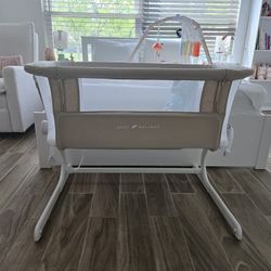 Baby Delight Beside Me Dreamer Bassinet