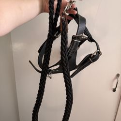 Adjustable Faux Leather Dog Harness + 4ft Braided Leash – Like New 🐾✨