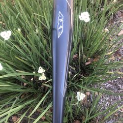 Axe Elite One Bat USSA drop 10  30 Inches 20oz