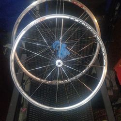 Fixie rims campagnolo scirocco