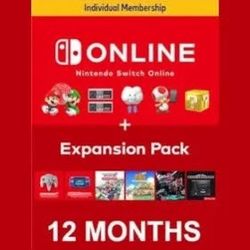Nintendo Switch Expansion Pack Individual 