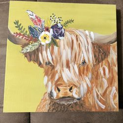 Highland Cow 