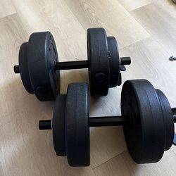 Two 20 pound dumbbells