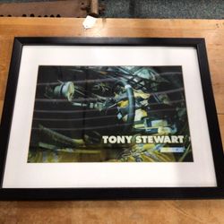 Tony Stewart NASCAR Framed 3D Photo 💵  💳  💵  Cash and Card Accepted