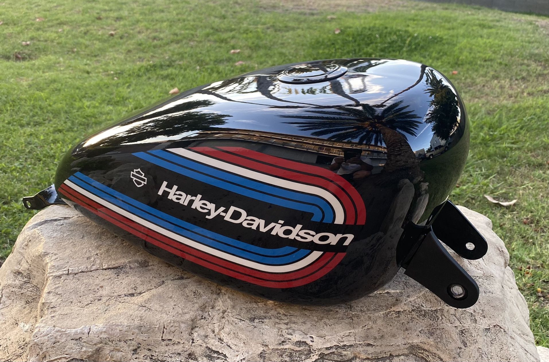 Harley Davidson Sportster Iron 1200 Gas Tank
