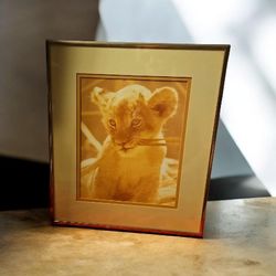  framed and matted print titled "Lion Cub" by artist Charles Fracé. 