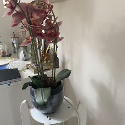 Fake Flowers