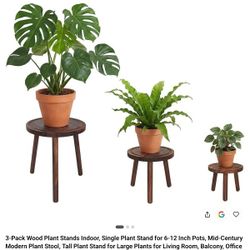 3-Pack Wood Plant Stands - Dark Brown, Mid-Century Modern